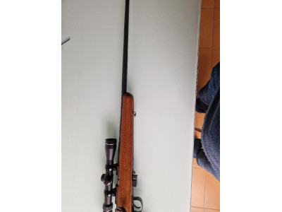Carabina Norinco JW15 .22 Magnum