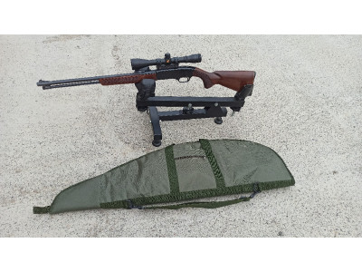 Carabina 22 Winchester model 290