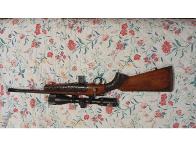 Carabina 22lr muy manejable - MARCA Y MODELO