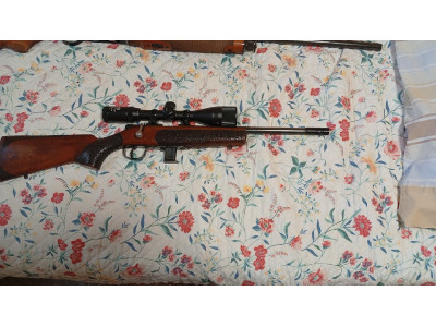 Carabina 22lr Muy Manejable - Marca y Modelo