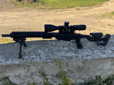 Carabina 22lr ruger precision rimfire