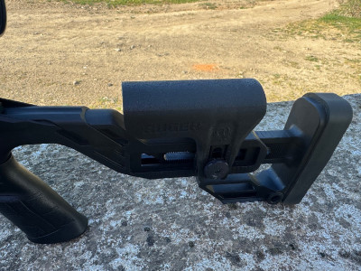 Carabina 22lr ruger precision rimfire