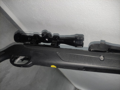 CARABINA AIRE COMPRIMIDO 5.5 GAMO