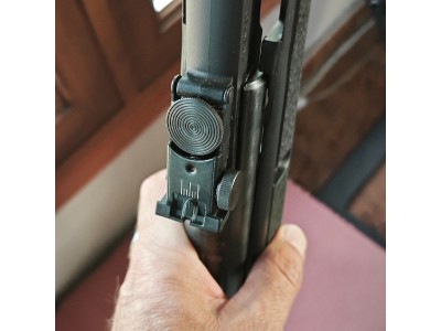 Carabina aire comprimido Gamo Black 1000