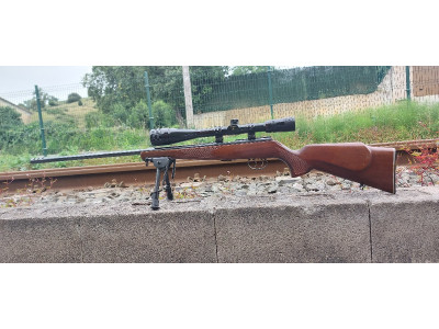 Carabina Anchut 22 lr modelo 1415