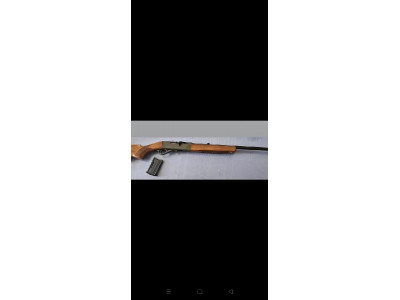 Carabina calibre 22 rifle