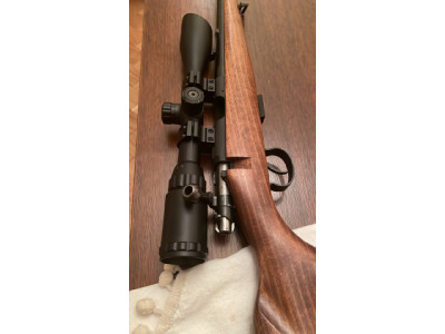 Carabina ceska cz 513 .22lr