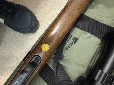 Carabina de aire comprimido