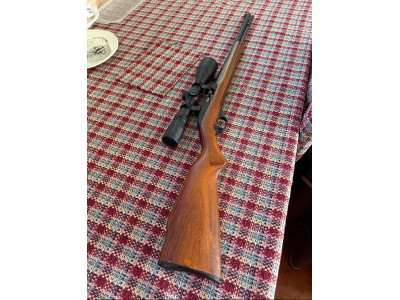Carabina del 22 con visor
