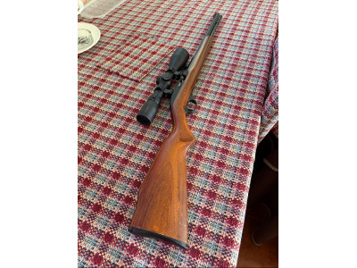 Carabina del 22 con visor