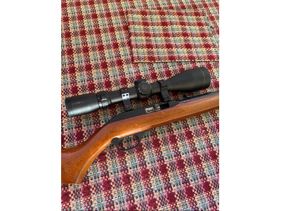 Rifle del 22 con Visor Nico Starlin