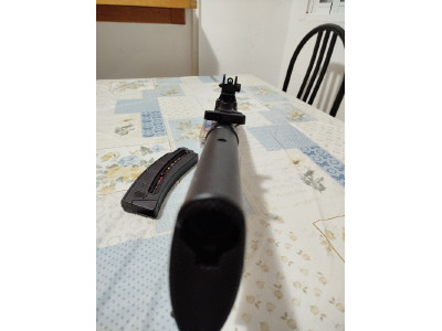 Carabina del 22 lr Smith and wesson