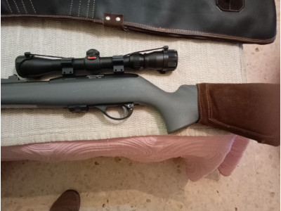 Carabina del 22 Remington