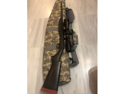 Browning sa-22 desmontable