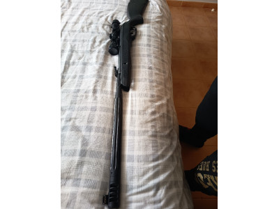 Carabina gamo 4.5 + visor