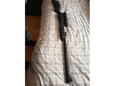 Carabina gamo 4.5 + visor