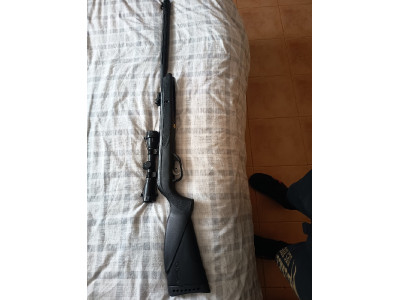 Carabina gamo 4.5 + visor