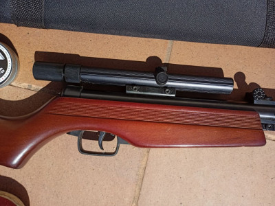 Carabina Gamo Expo S con funda, balines y dianas Snowpeak