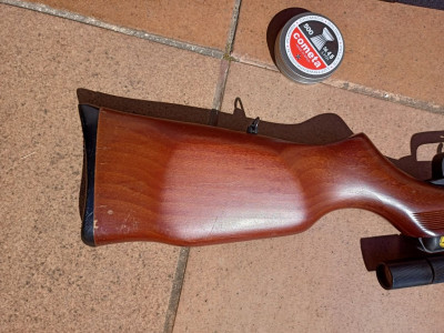 Carabina Gamo Expo S con funda, balines y dianas Snowpeak