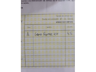 Carabina gamo Hunter 4.5