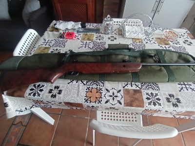 Carabina Gamo Hunter 440 WT
