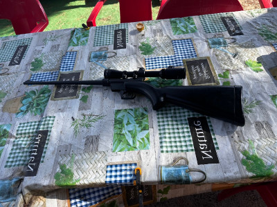 Carabina Henry AR7 calibre 22 LR