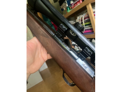 Carabina luger 22 wmg