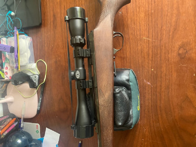 Carabina Luger .22 WMG