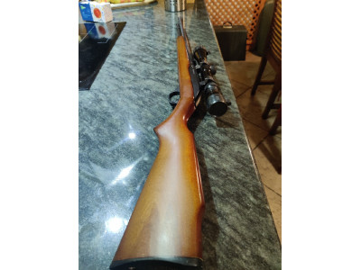 Carabina Marlin 60 22 Lr