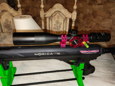 Carabina Norica onmia ZRS