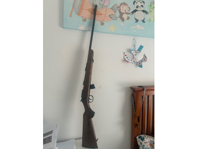 Carabina Norinco JW 15 A 22LR
