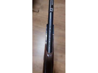 Carabina Remington 22LR