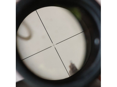 Carabina Remington 22LR