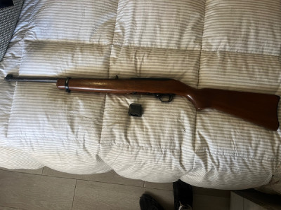 Ruger 10/22 