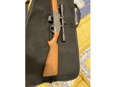 Carabina Sabático 22 LR