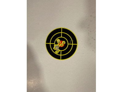 Carabina Savage B22 Precision .22 LR – Chasis MDT