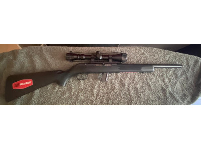 Carabina Semiautomática Savage 64 FV-SR | Cal. .22 LR