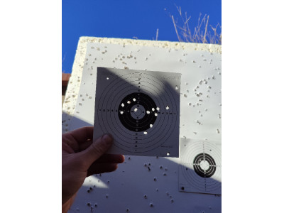 Carabina Winchester 190 Calibre .22