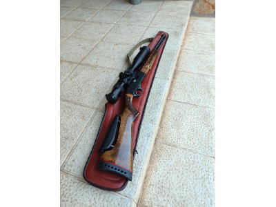 Carabina Winchester 190 Calibre .22