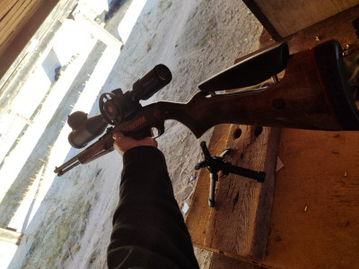 Carabina Winchester 190 Calibre .22