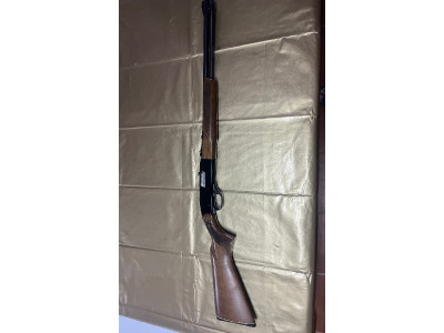Carabina Winchester Modelo 290
