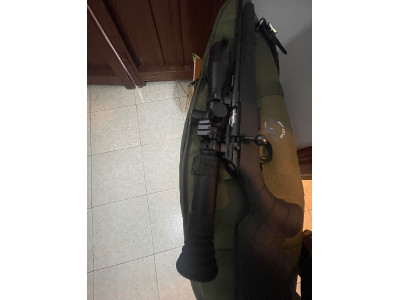 ceska 17 HMR con visor pard