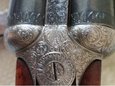 Danok Bat Alcion - Paralela