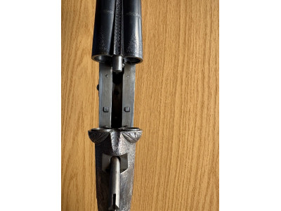 Darne calibre 16, 10 coronas