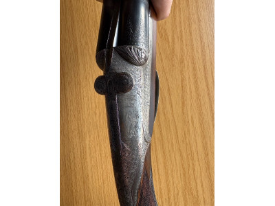 Darne calibre 16, 10 coronas