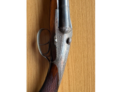 Darne calibre 16, 10 coronas