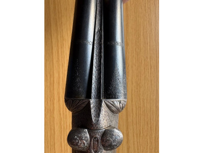 Darne calibre 16, 10 coronas