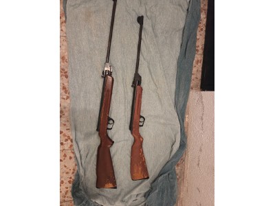 Dos escopetas de aire comprimido gamo
