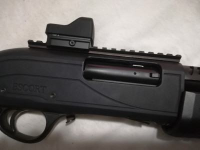 Hatsan Escort MPS 20"