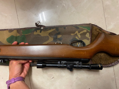 Escopeta balines gamo CF 20 con mira